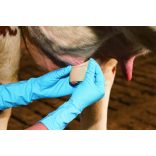 UdderoSoft bimbókötszer, 6 cm x 5 m