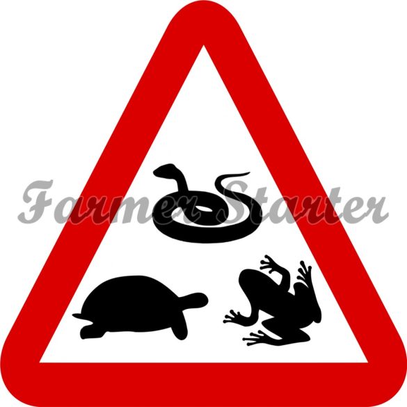 Signboard with Frog, Snake and Turtle Pattern