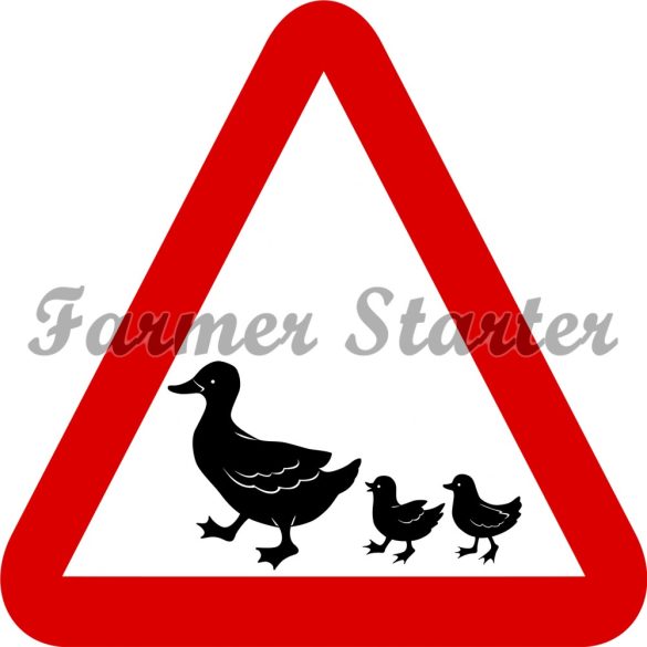 Signboard with Duck Pattern