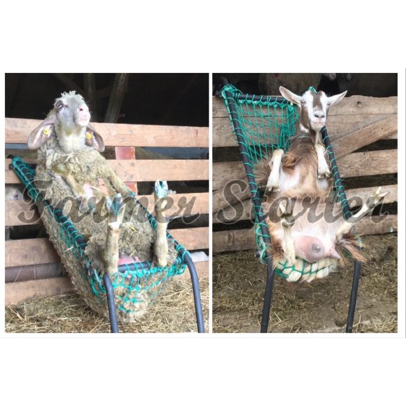 Chair for Sheep Hoof Trimming and Handling