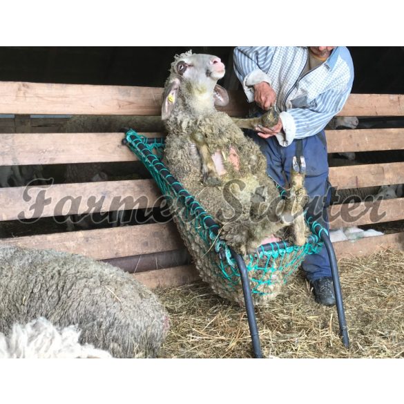 Chair for Sheep Hoof Trimming and Handling