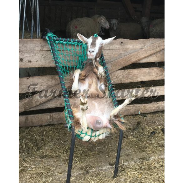 Chair for Sheep Hoof Trimming and Handling