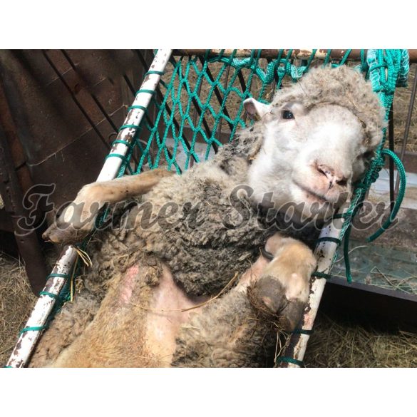 Only use for forelegs!