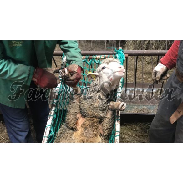 Farmer Starter Sheep Goat restrainer 