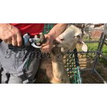 Campagnola Speedy körmölő metszőolló – 3 db akkumulátor