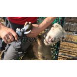 Campagnola Speedy körmölő metszőolló – 3 db akkumulátor