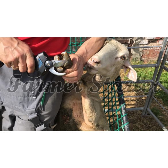 Campagnola Speedy elektrische Gartenschere mit 3 Batterien – Klauenschere für Schafe und Ziege