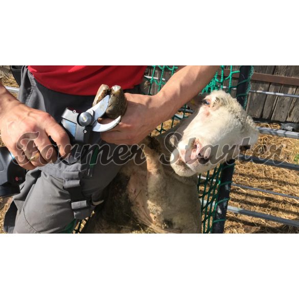 Campagnola Speedy körmölő metszőolló – 3 db akkumulátor