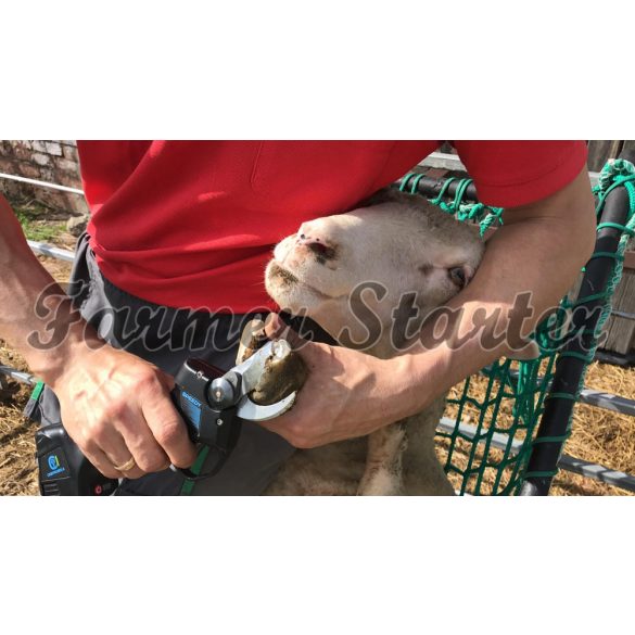 Campagnola Speedy elektrische Gartenschere mit 3 Batterien – Klauenschere für Schafe und Ziege