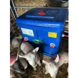 Bárány, gida itató berendezés, szoptató automata - 50 liter