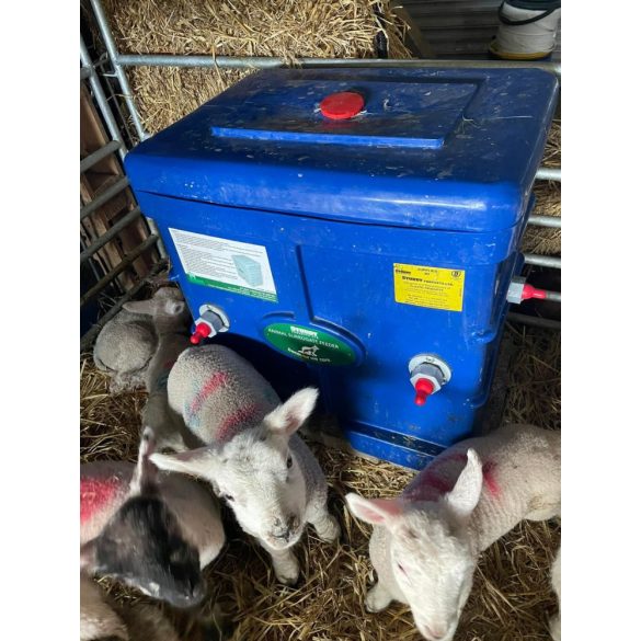 Bárány, gida itató berendezés, szoptató automata - 50 liter