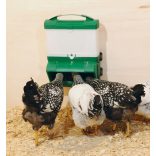 Baromfi SMART etető – bővíthető önetető