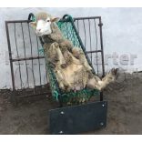 Lábvédő adapter – Juh, kecske körmölőszékhez