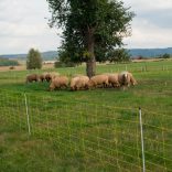 Juhháló VERTICAL 90cm/50m 1 tüskés