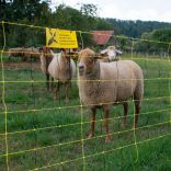 Juhháló VERTICAL 90cm/50m 1 tüskés