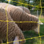 Juhháló VERTICAL 90cm/50m 2 tüskés