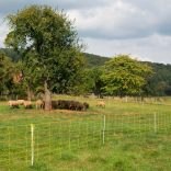 Juhháló VERTICAL 90cm/50m 2 tüskés