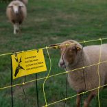 Juhháló VERTICAL 90cm/50m 2 tüskés