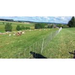 Farkas háló TURBOMAX High energy 90cm/50m 2 tüskés