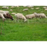 Farkas háló TURBOMAX High energy 90cm/50m 2 tüskés