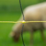 Farkas háló HORINETZ Super plus 90/120cm/50m 1 tüskés