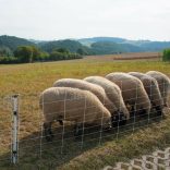 Juhháló TURBOMAX Extra 90cm/50m 2 tüskés