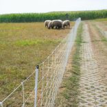 Juhháló TURBOMAX Extra 90cm/50m 2 tüskés