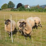 Juhháló TURBOMAX Extra 105cm/50m 2 tüskés