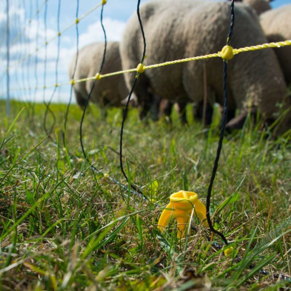 Juhháló HORINEZT 90cm/50m 1 tüskés