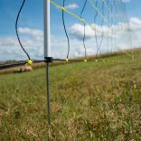 Juhháló HORINEZT 90cm/50m 1 tüskés