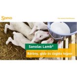 Bárány, kecskegida, őzgida tejpor, prémium - TEJALAPÚ 25 kg