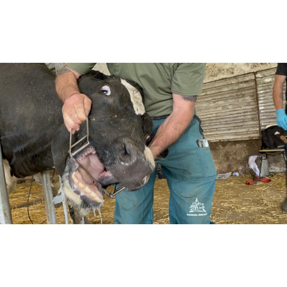 Farmer Starter Szarvasmarha, ló szájterpesz 