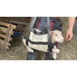 FS Bárány hordozó táska- és mérleg 