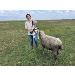 FS Bárány hordozó táska- és mérleg 