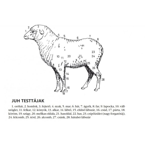 Juh lábrögzítő sín – felnőtt állat lábtörésre