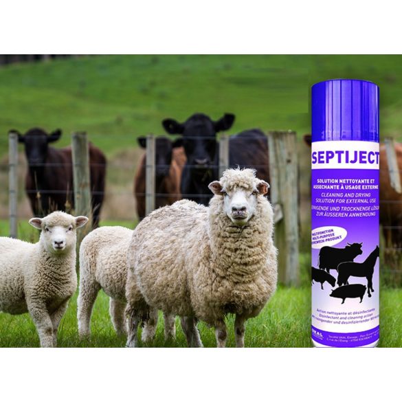 SEPTIJECT lila fertőtlenítő spray 500 ml