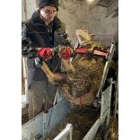 Kifordítható kaloda körmöléshez, kezelésre - 1 db gázteleszkóppal