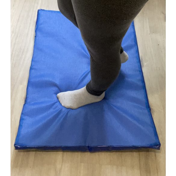 Fertőtlenítő szőnyeg 83 X 60 X 4 cm 