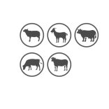 HERBAL BLOCK nyalósó 10kg – féreghajtó hatás gyógynövényekkel 