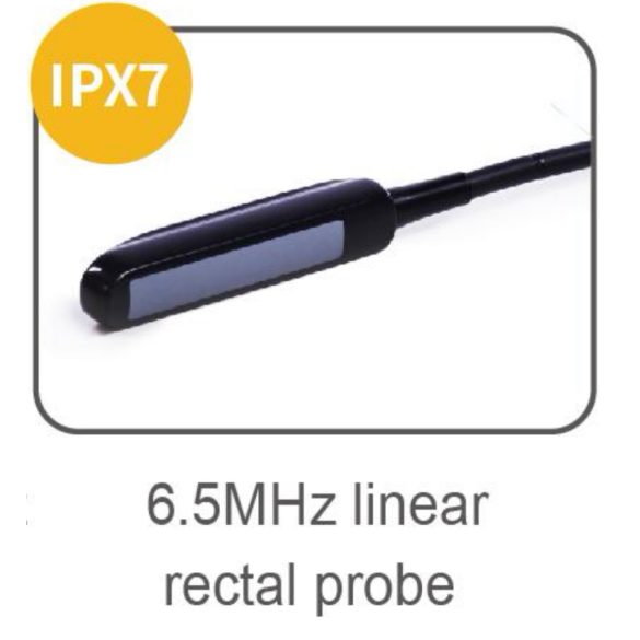 Wifi-s mobil ultrahang készülék - rektális lineáris vizsgálófejjel