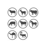 ANTI-INSECT nyalósó 10kg – rovarok elleni védelem a legelőn