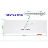 Tárgylemez, kalibrációs mikrométer 1 DIV = 0,01 mm