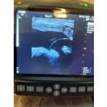 Állatorvosi mobil ultrahang készlet ES8 és KX5200
