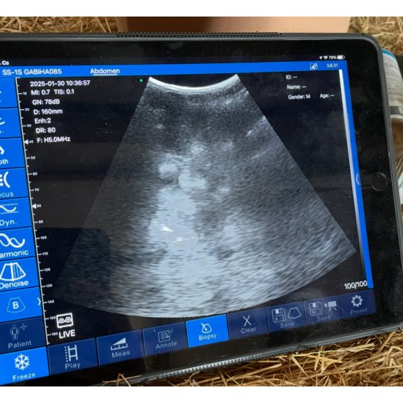 Vezeték nélküli állatorvosi ultrahang készülék - konvex 