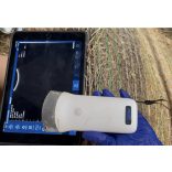 Vezeték nélküli állatorvosi ultrahang készülék - konvex 