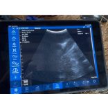 Vezeték nélküli állatorvosi ultrahang készülék - konvex 