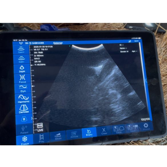 Vezeték nélküli állatorvosi ultrahang készülék - konvex 