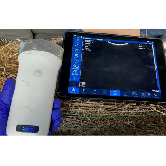 Vezeték nélküli állatorvosi ultrahang készülék - konvex 