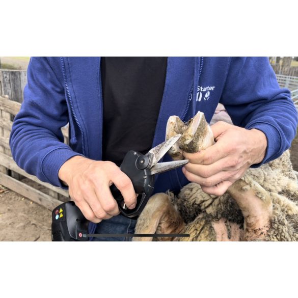 Campagnola SL32 körmölő metszőolló készlet - 2 db akkumulátor 2 db penge