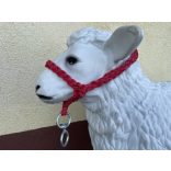 Juh, kecske kötőfék